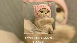 Музыка для флешмоба ||все песни взяты из тик тока|| возможно есть маты =^