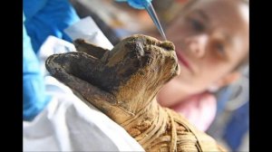 Котолоиды. Вся правда о котолоидах. Теория заговора.