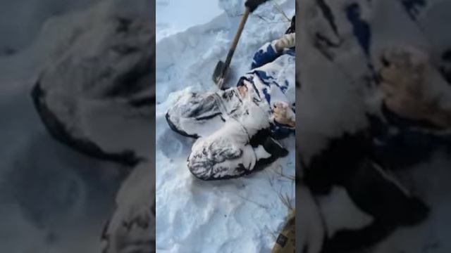 Замёрз насмерть!!!!! смотреть онлайн