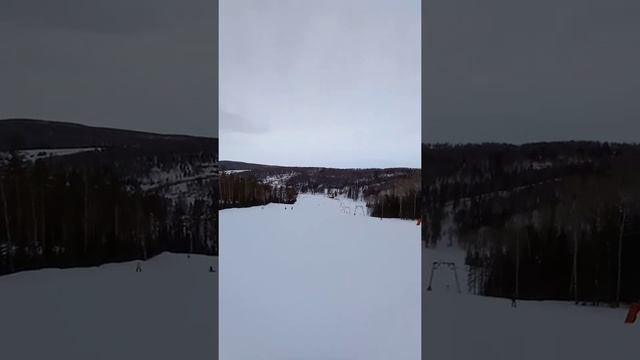 Белокуриха, Мишина гора.