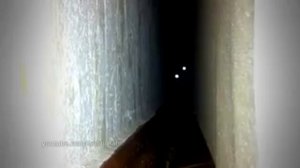 Кот скример