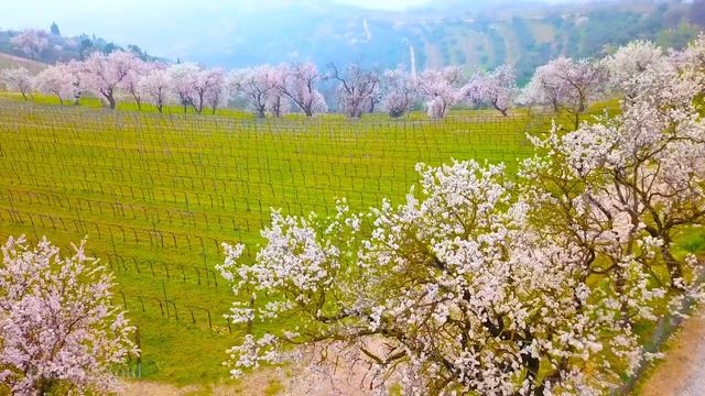 музыка мира во всем мире 🕊️ Нежная лечебная музыка здоровья и для успокоения нервной системы #2 смотреть онлайн