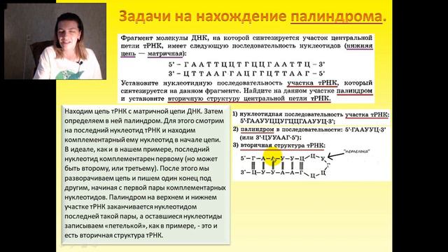 Решаем задачи на ПАЛИНДРОМ ЕГЭ по био за 10 минут!