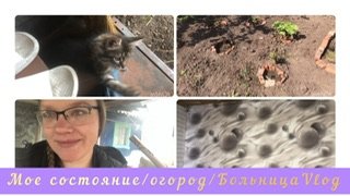 Дела огородные/огород/Vlog