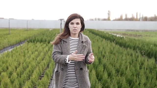 Осмокот - ПРАВДА или МИФ? смотреть онлайн