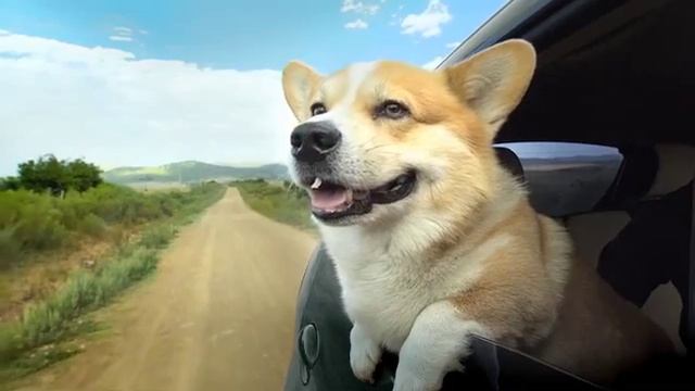 Geely LC Cross Ricardo Aguerre смотреть онлайн