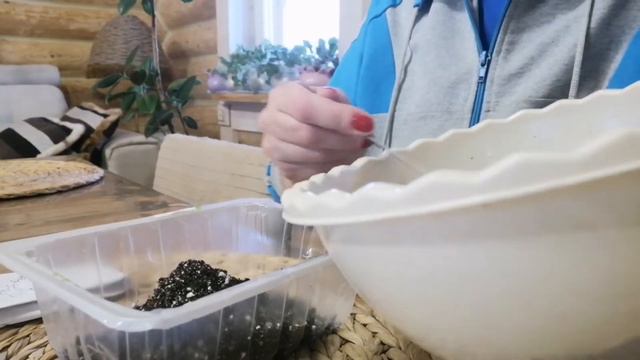 Все! петунию в снег! смотреть онлайн