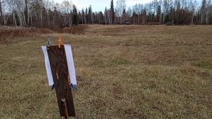 псп В022. 100м . пробую пульки шмель 0.85г