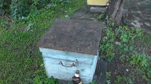 Как закормить пчел на зиму! Подготовка пчел к зимовке!