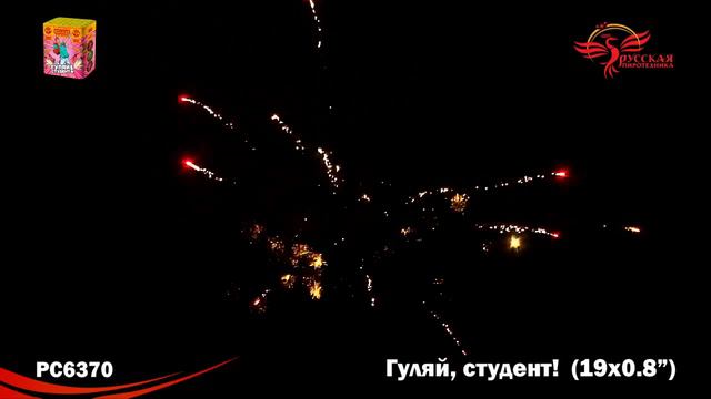 Гуляй студент! РС6370 смотреть онлайн