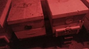 ВСЕ О ЗИМОВКЕ ПЧЕЛ В ПОМЕЩЕНИИ, САРАЕ, ПОГРЕБЕ. BEEKEEPING. BEE. ПЧЕЛОВОДСТВО. Восьмирамочник.