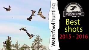 Waterfowl hunting. Best shots 2015-2016