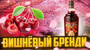 Бренди из вишни. #андрейсэмов #самогон #бренди