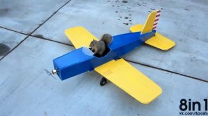 Белка угоняет и летает на радиоуправляемом самолёте (Приколы)