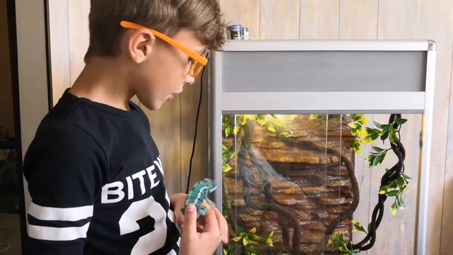 МОЙ ПАНТЕРОВЫЙ ХАМЕЛЕОН ЮРА смотреть онлайн