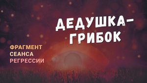 Регрессии. Открытия. Возможности. Результаты. "Дедушка грибок"