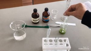 Лабораторная работа 11 класс : Определение синтетических пигментов в растениях