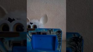 Фёрби заболел болит живот Что делать укол или таблетка