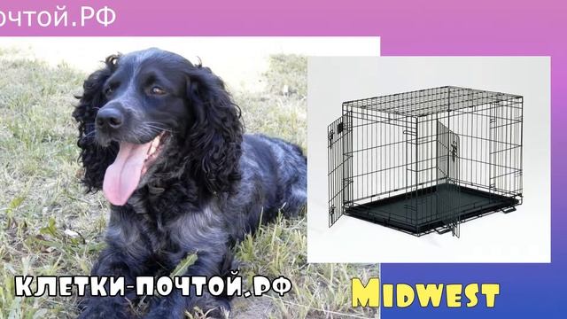 Клетки для собак Midwest