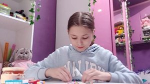 Обзор самодельной еды для басиков.