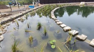 Домашний пруд 470 м2. Биоплато. Бетонные скиммеры.