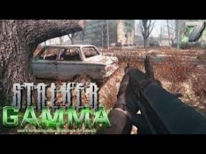 S.T.A.L.K.E.R. Anomaly GAMMA ПРОХОЖДЕНИЕ ЗА Бандита  4 серия ПЕРВЫЙ ЗАКАЗ НА УСТРАНЕНИЕ