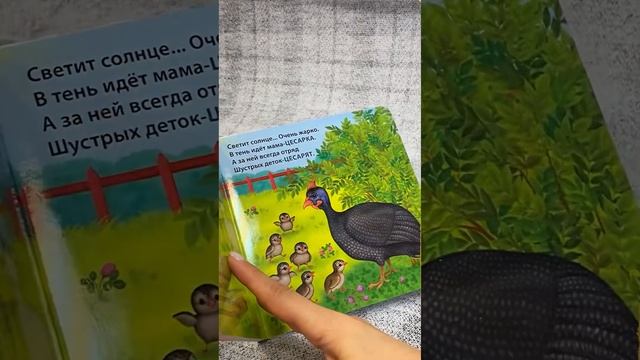 Книжки-картонки со стихами для малышей от 1 года | Популярная серия «Загадки-рифмы»