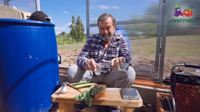 ГЛАДКИЕ ОГУРЦЫ - ПЛОДОНОСЯТ ВОДОПАДОМ!