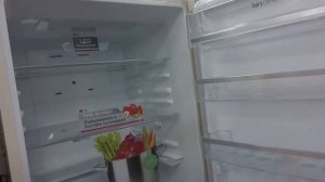 Холодильник LG GA B489YEQZ