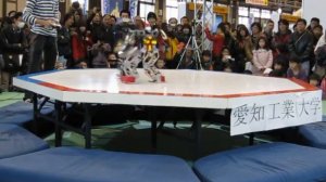 Асура против Аквилы. Битва роботов в Японии
