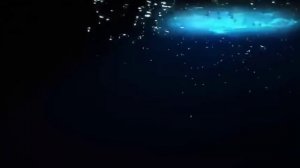 All openings Free 1-4 (1, 2, Take your marks, 3) / Все опенинги вольный стиль 1-4