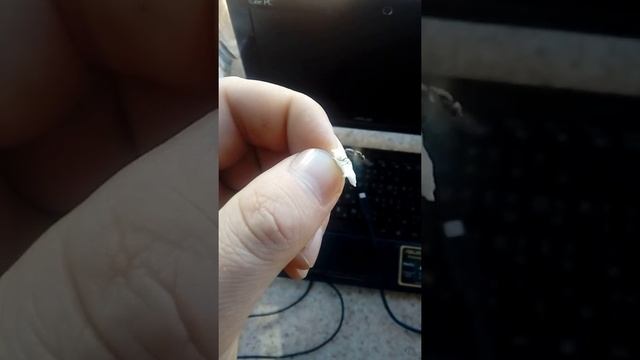 Муха Прилипла к пене смотреть онлайн