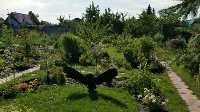 Ноев ковчег. Флоксы цветут. Желто-бордовый миксбордер. смотреть онлайн