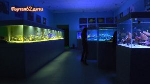 Акванариум Рязань