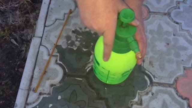Весенняя обработка роз медным купоросом