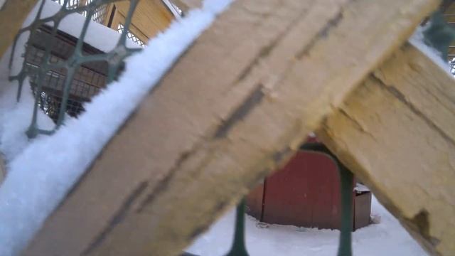 В усадьбе Кусково с ребёнком по сугробам 2022 смотреть онлайн