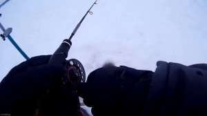 ЭХОЛОТ ПРАКТИК 6М, подходы СУДАКА к приманке!