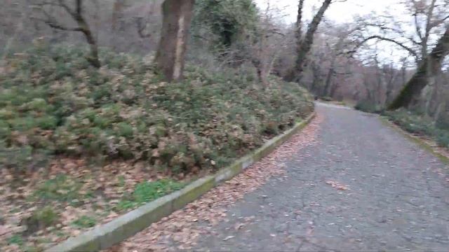 В Крым зимой. Такси, автобусы, тропинки и цены до Ялта-Интурист смотреть онлайн