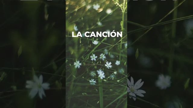 Teaser La canción del fiordo