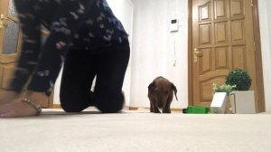 РЕМОНТ#1| С ЧЕГО НАЧАТЬ РЕМОНТ КУХНИ | ПОДГОТОВИТЕЛЬНЫЙ ЭТАП