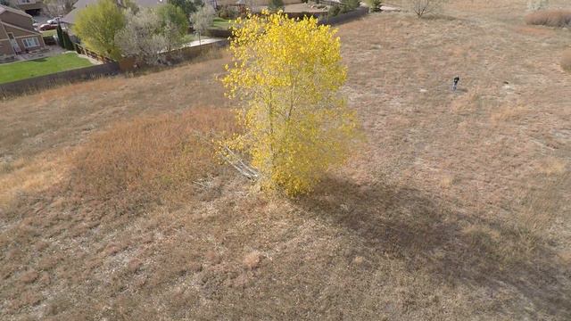 GoPro Karma Orbit mode - Hero 5 смотреть онлайн