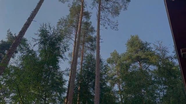 ЧИТАТЕЛЬСКИЙ ВЛОГ+КНИЖНЫЙ ПОДАРОК! РУГАЮ и ХВАЛЮ новинки: КТО ТАКАЯ МОД ДИКСОН, СНЕЖИНКА, ЛГУНЬЯ смотреть онлайн