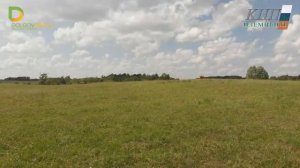 Наш любимый КРС. Шароле, Лимузины и Абердин-Ангусы в Калининграде