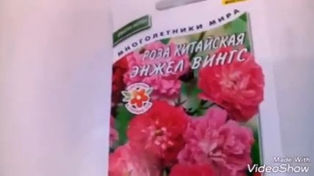 Китайская роза символ красоты и величия