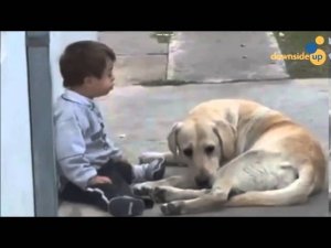 Собака и мальчик