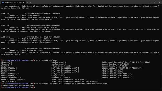 Setup XCP-NG with OPNsense in the Cloud using OVH