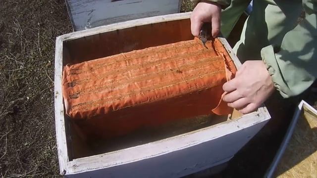 Весенняя ревизия гнезд. Осмотр на остаток корма и на наличие засева. 06.03.2019 смотреть онлайн