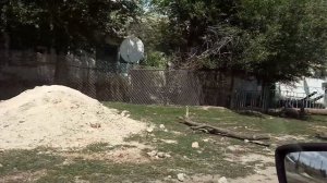 Совхоз им 22п.съезда кпсс Актюбинская обл.Комсомольский рн