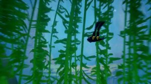 ABZU (2016) - PC Ultra Widescreen 3840x1080 ratio 32:9 (Samsung CHG90)