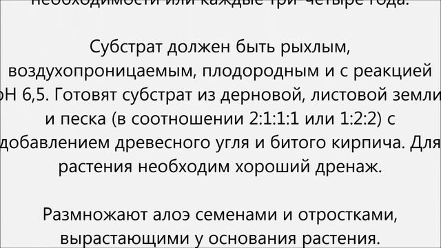 Алоэ уход.Алое уход смотреть онлайн